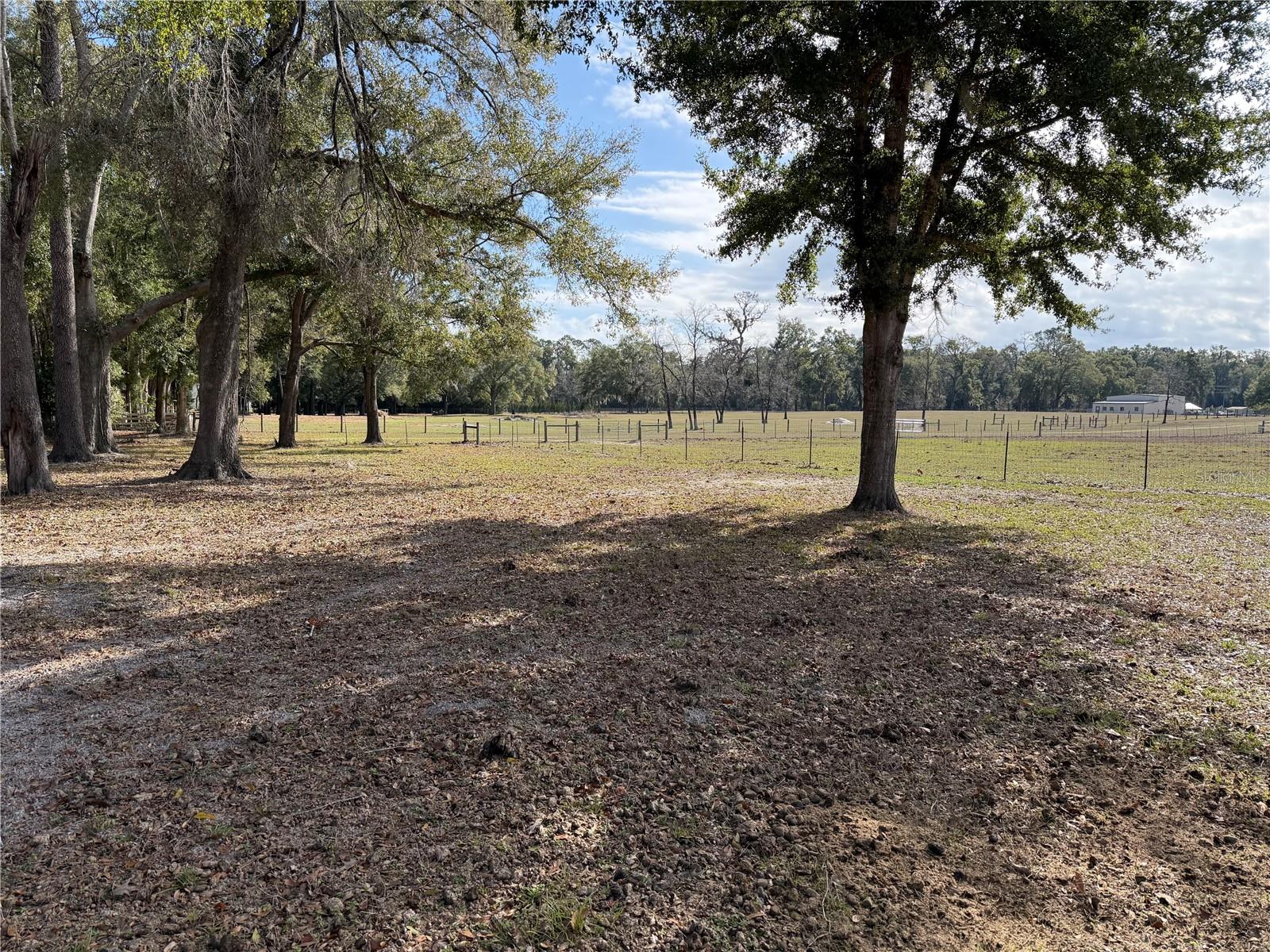 ICHETUCKNEE MEADOWS - Land