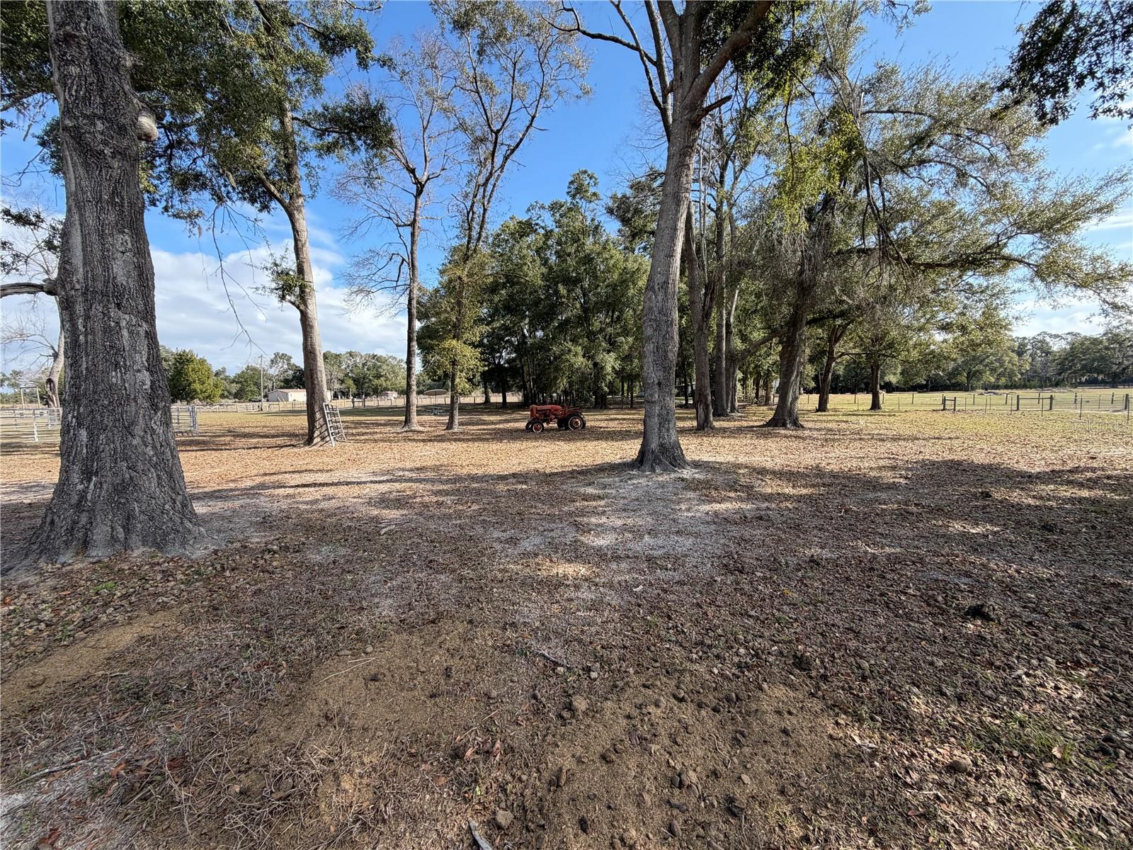 ICHETUCKNEE MEADOWS - Land