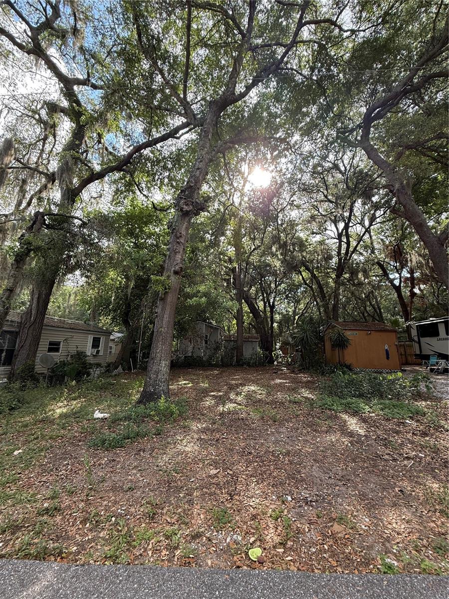 3000 CLARCONA ROAD 1116