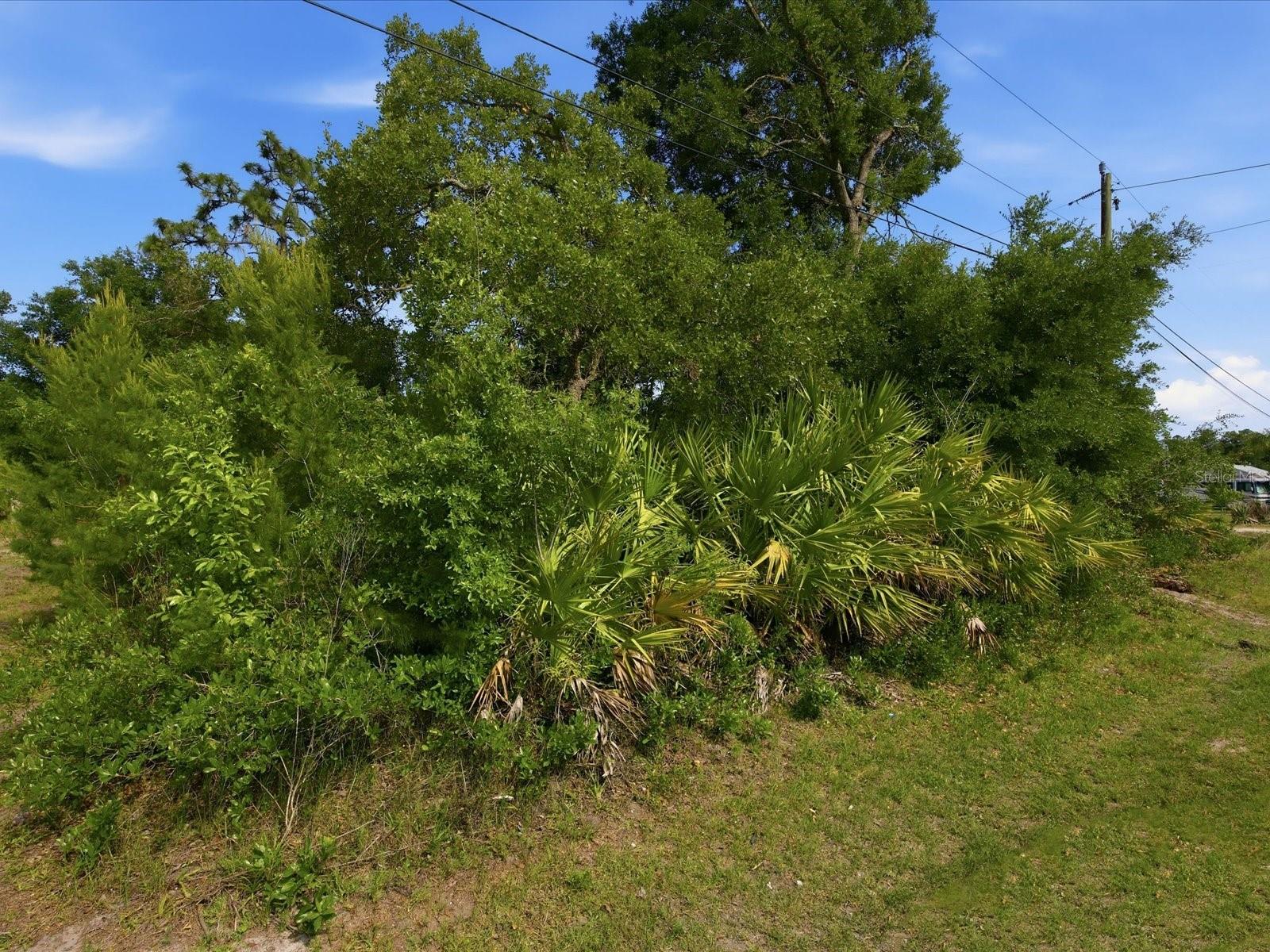DAYTONA PARK ESTATES SEC D - Land