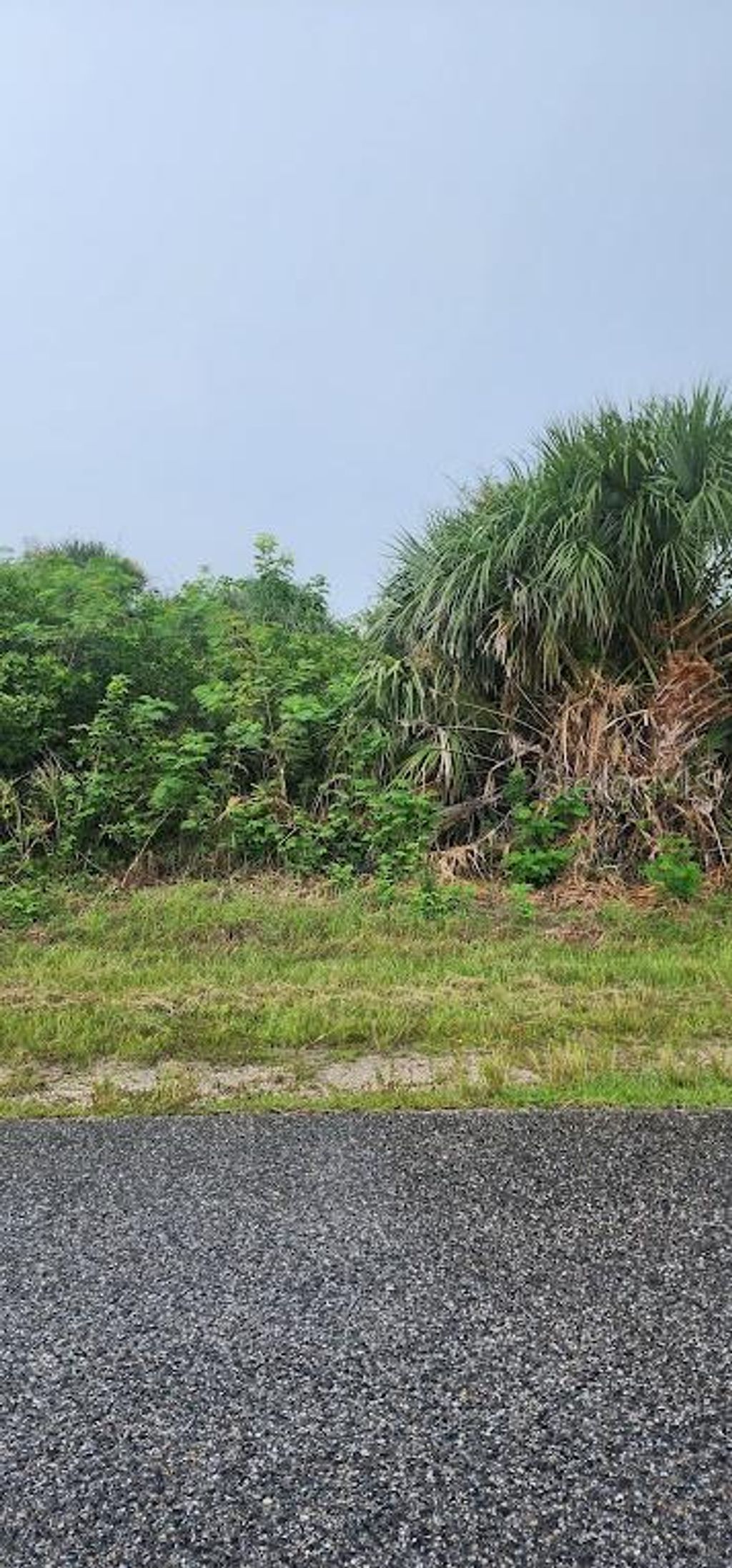 Photo of 8183 Clyde Circle, Port Charlotte, FL 33981 (MLS # D6143384)
