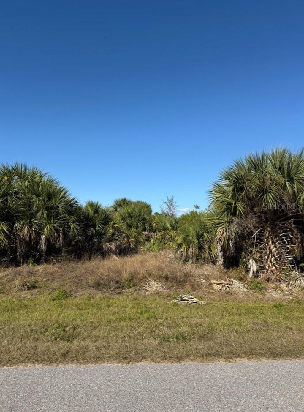 Photo of 15401 Hennipen Circle, Port Charlotte, FL 33981 (MLS # A4676367)