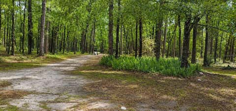Tiny photo for 18864 N Highway 329, Micanopy, FL 32667 (MLS # W7887177)