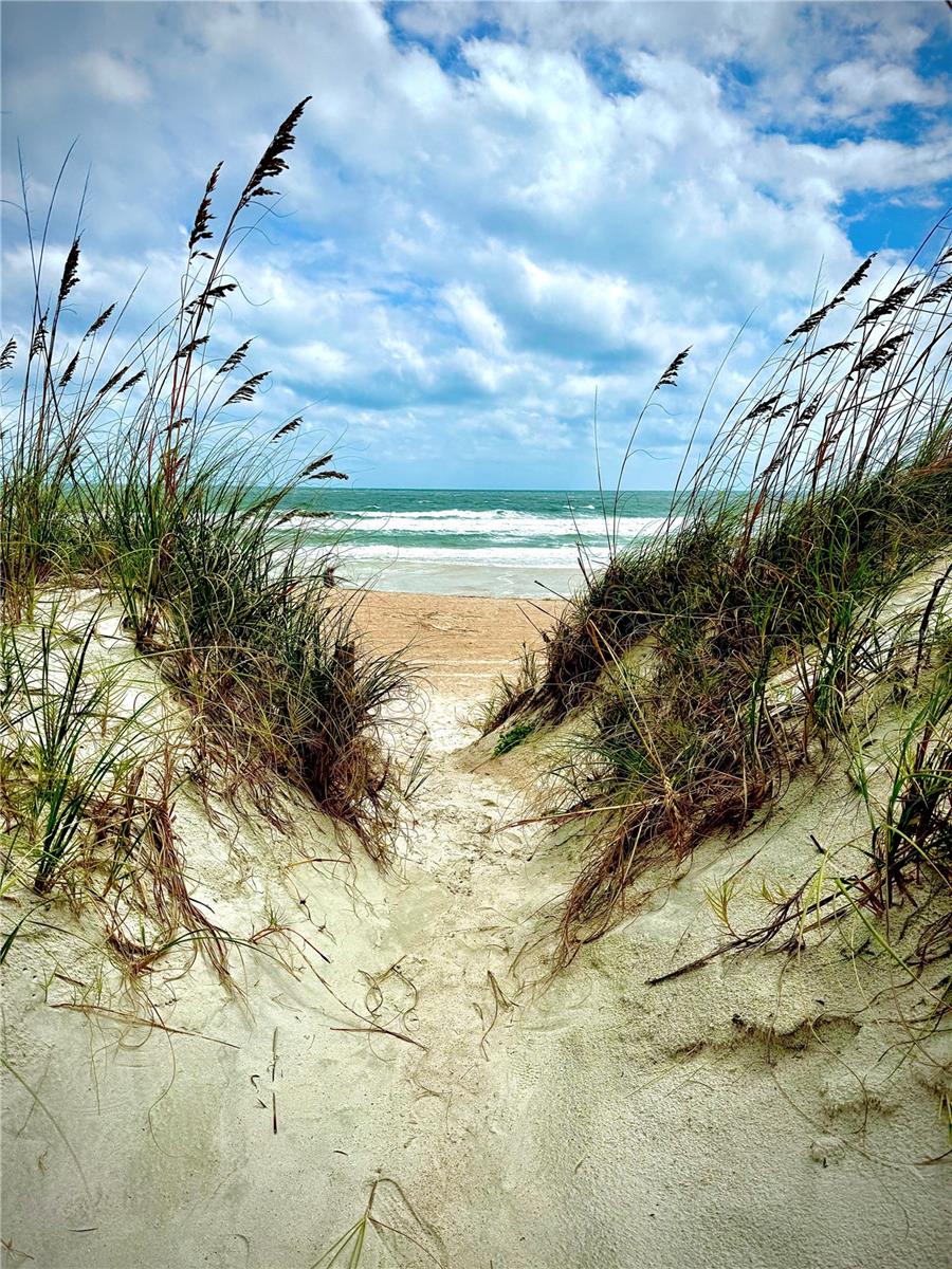 5242 SEA CHASE DRIVE DRIVE 1