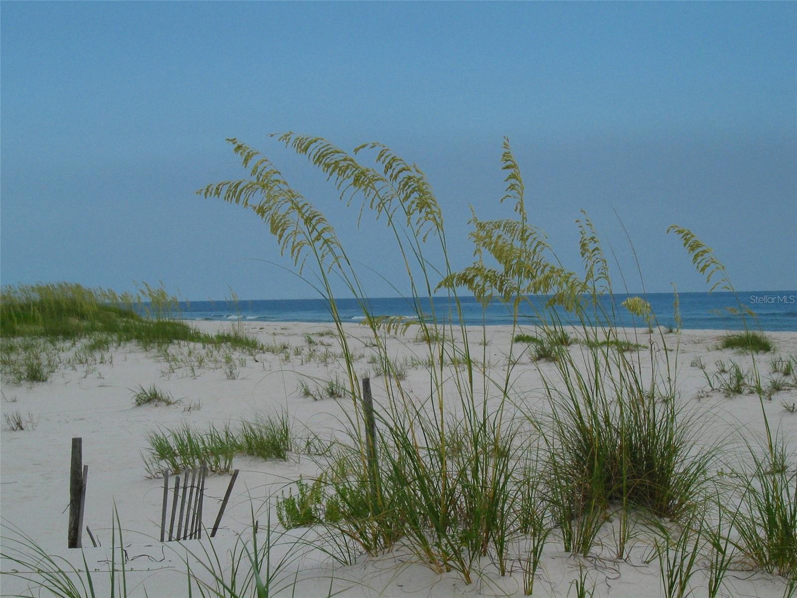 5242 SEA CHASE DRIVE DRIVE 1