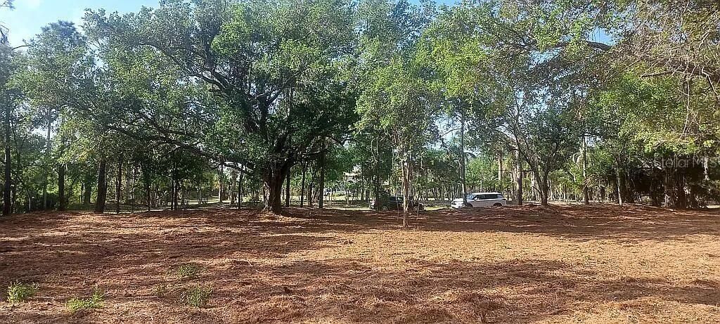 Photo of 24614 Tangerine Avenue, Punta Gorda, FL 33980 (MLS # O6405301)