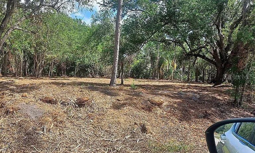 Photo of 24614 Tangerine Avenue, Punta Gorda, FL 33980 (MLS # O6405301)