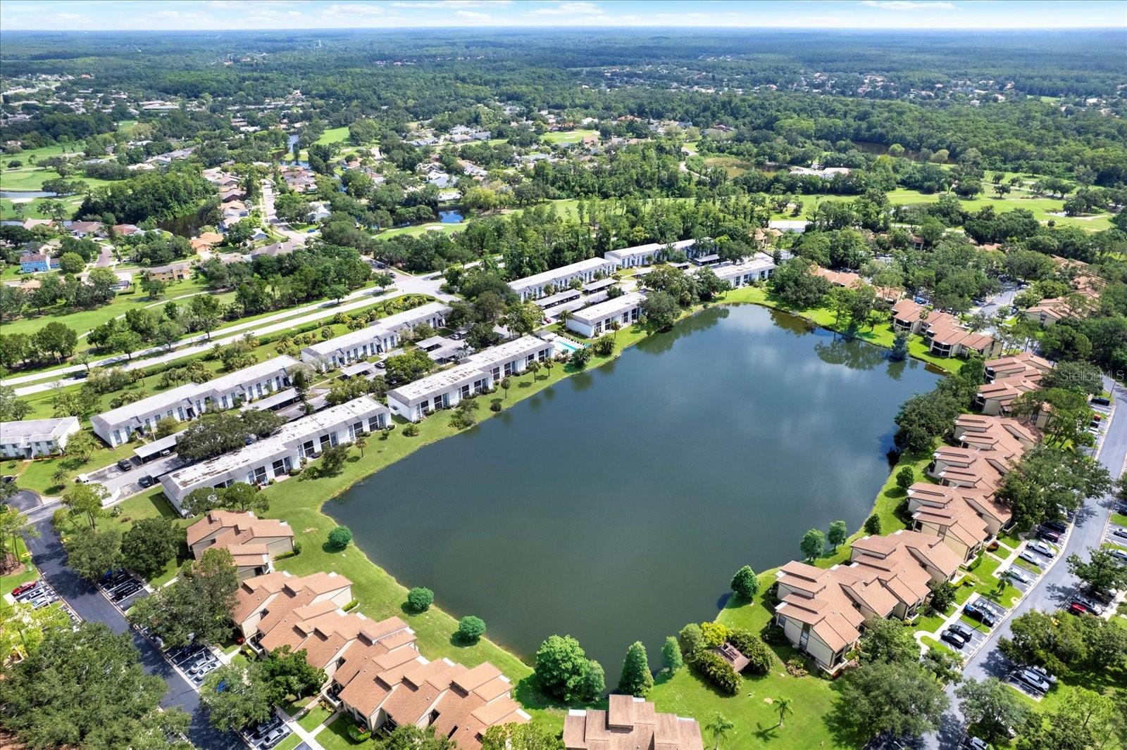 Welcome to this beautiful 2 Bedroom 2 Bath pond view condo in the highly sought after East Lake Woodlands gated community! Make new memories in this well maintained condo home with serene pond views that are sure to bring you peace after a long day. As soon as you open the door, you’ll be drawn to the open and inviting layout. The open living area boasts lots of natural light from the spacious screened in lanai to enjoy outdoor living year-round. The primary bedroom sits at the rear of the condo to provide a feel of privacy with it's own sliding glass entry to the lanai. A walk-in closet ensures plenty of storage space. The kitchen is original and provides a wonderful opportunity to deisgn the kitchen of your dreams! Additonal features include an HVAC system installed in 2025, meticulous upkeep, a dedicated carport right at your doorstep, and no carpet! Located in the prestigious East Lake Woodlands community, you’ll have access to many amenities, including two 18-hole championship golf courses, tennis and pickleball courts, sparkling community pools, and a clubhouse with a restaurant, with seperate membership fee. Centrally located in Oldsmar, this condo is just a short drive to top-rated beaches, Tampa International Airport, and a surplus of shopping and dining.