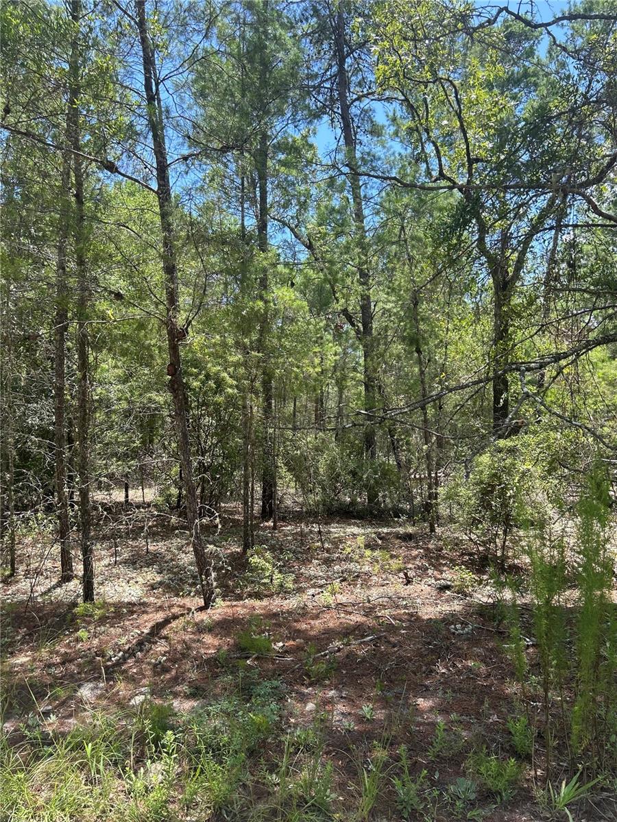 Endless possibilities await with this beautiful vacant land located in a peaceful agricultural zone. Whether you're dreaming of building your custom home, placing a mobile home, or starting a hobby farm, this versatile property offers the freedom and space to bring your vision to life.
Located in Flood Zone X, the land sits outside of high-risk flood areas—providing added peace of mind when planning your future build or investment.
With agricultural zoning, you can raise a wide variety of animals, plant gardens, and enjoy true country living. Yet, convenience is never far away. Grocery stores are located less than 4 miles away, and the property is just 800 feet from a paved road, making access easy and reliable year-round.
You’ll enjoy the perfect balance of privacy, flexibility, and accessibility, all within a short drive to schools, shops, and main thoroughfares.
Don’t miss this opportunity to own a slice of land where your rural dreams can become reality!