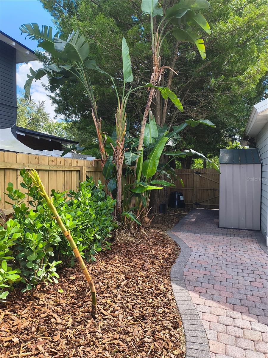 KLINE SUB - Residential Lease