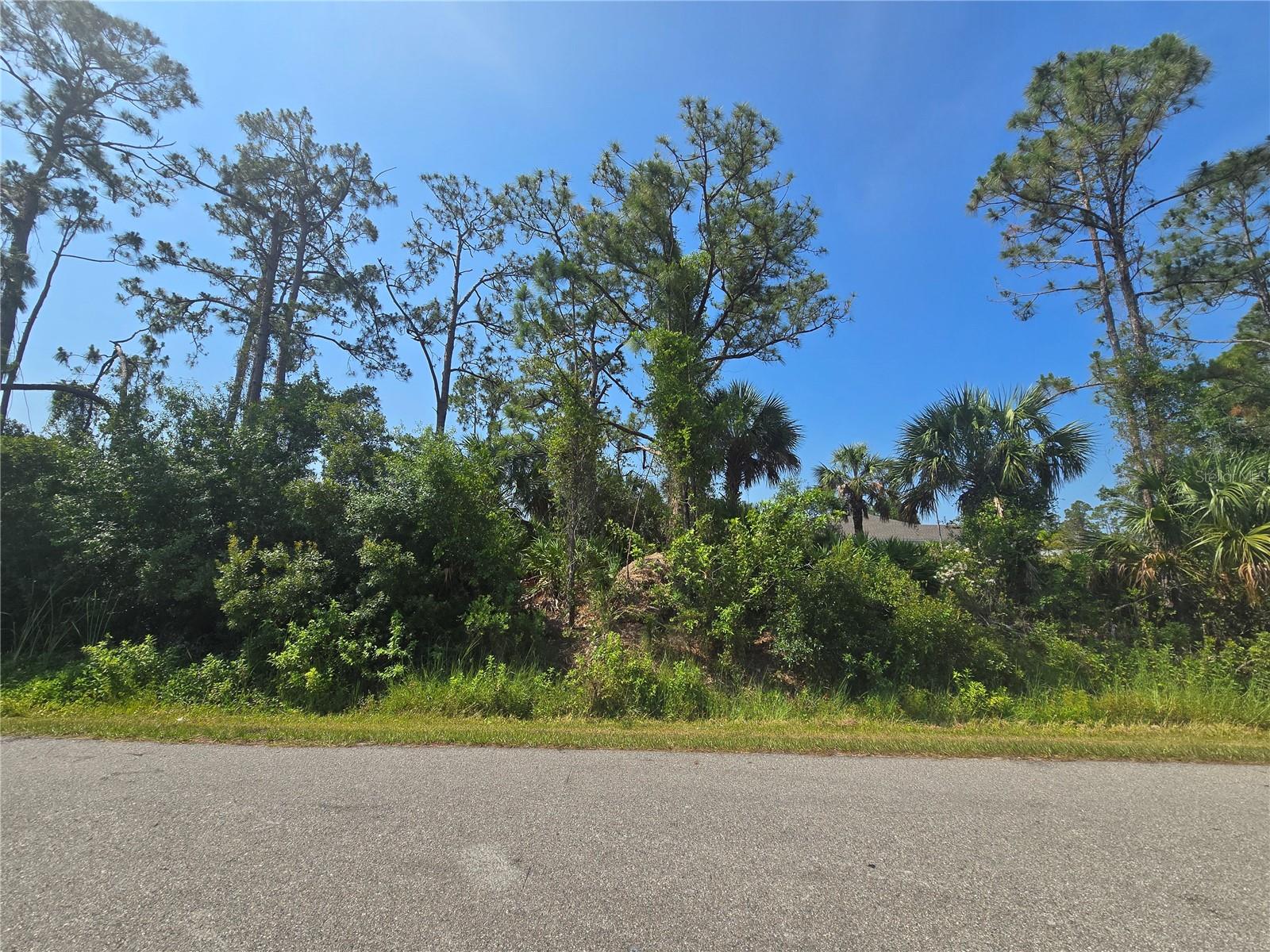 Discover the perfect opportunity to build your dream home on this exceptional lot in North Port! this spacious property offers privacy and tranquility with minimal nearby neighbors. Surrounded by beautiful new construction, the neighborhood is rapidly growing and full of potential. Whether you're looking to invest or create a custom residence, this lot has it all—natural beauty, a serene setting, and a prime location. Don’t miss out on this hidden gem—come see it today and envision the possibilities!