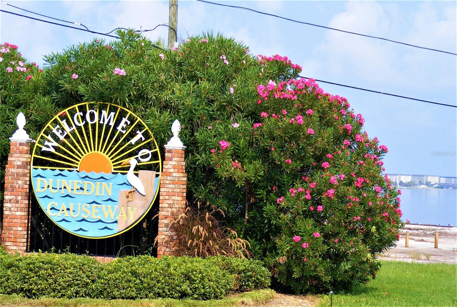 OLDSMAR REV MAP - Residential