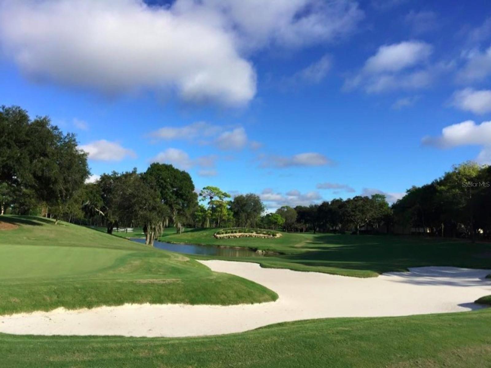 OLDSMAR REV MAP - Residential