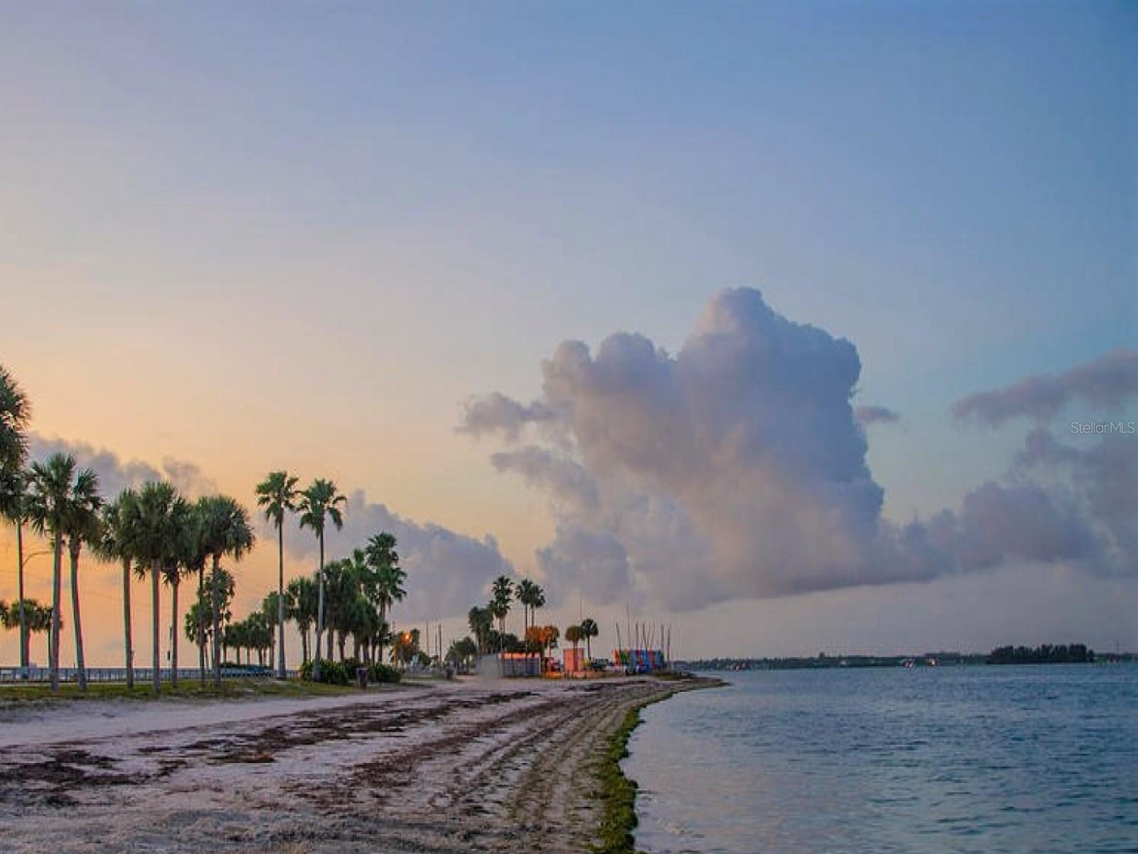 OLDSMAR REV MAP - Residential