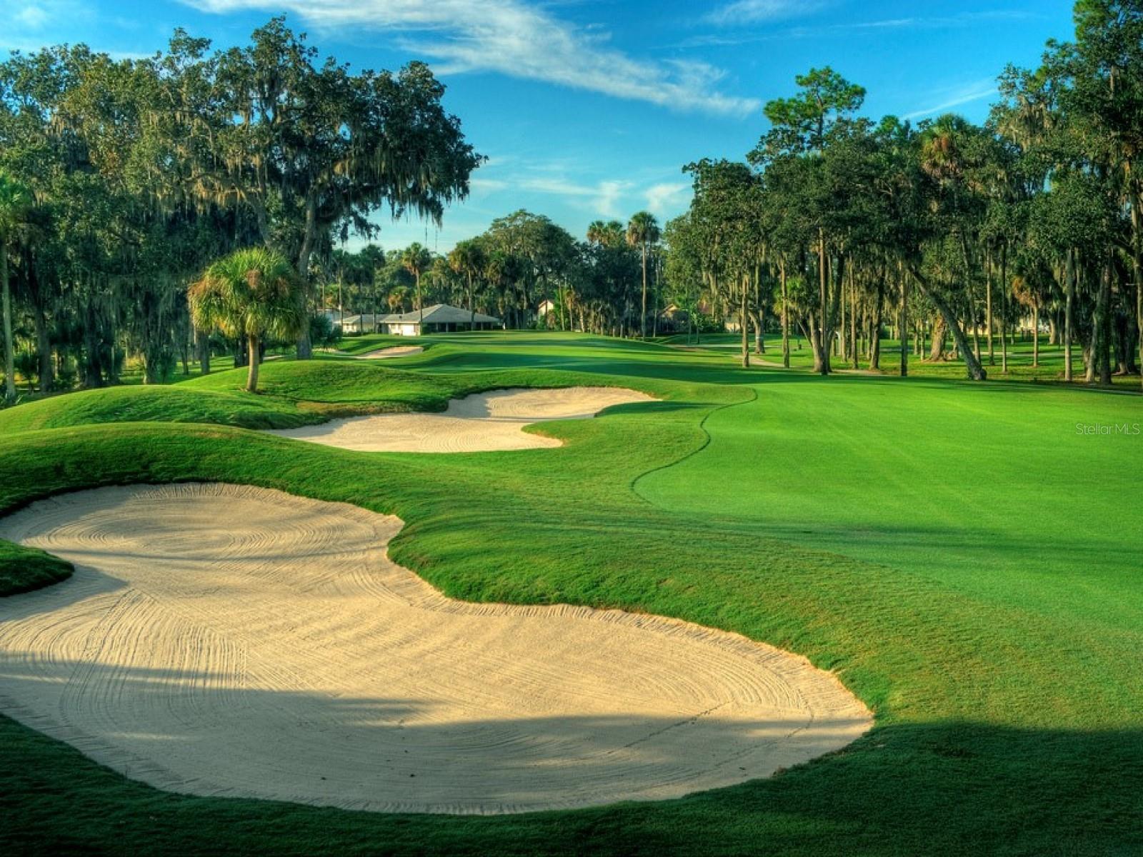 OLDSMAR REV MAP - Residential