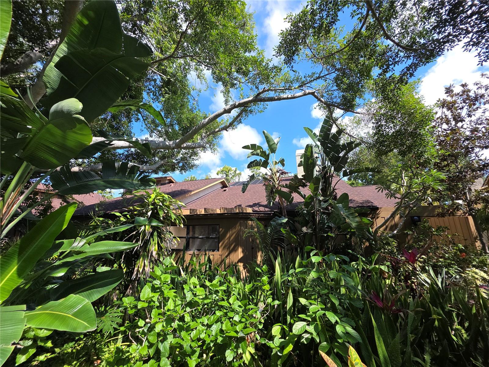 PINE BAY FOREST - Residential