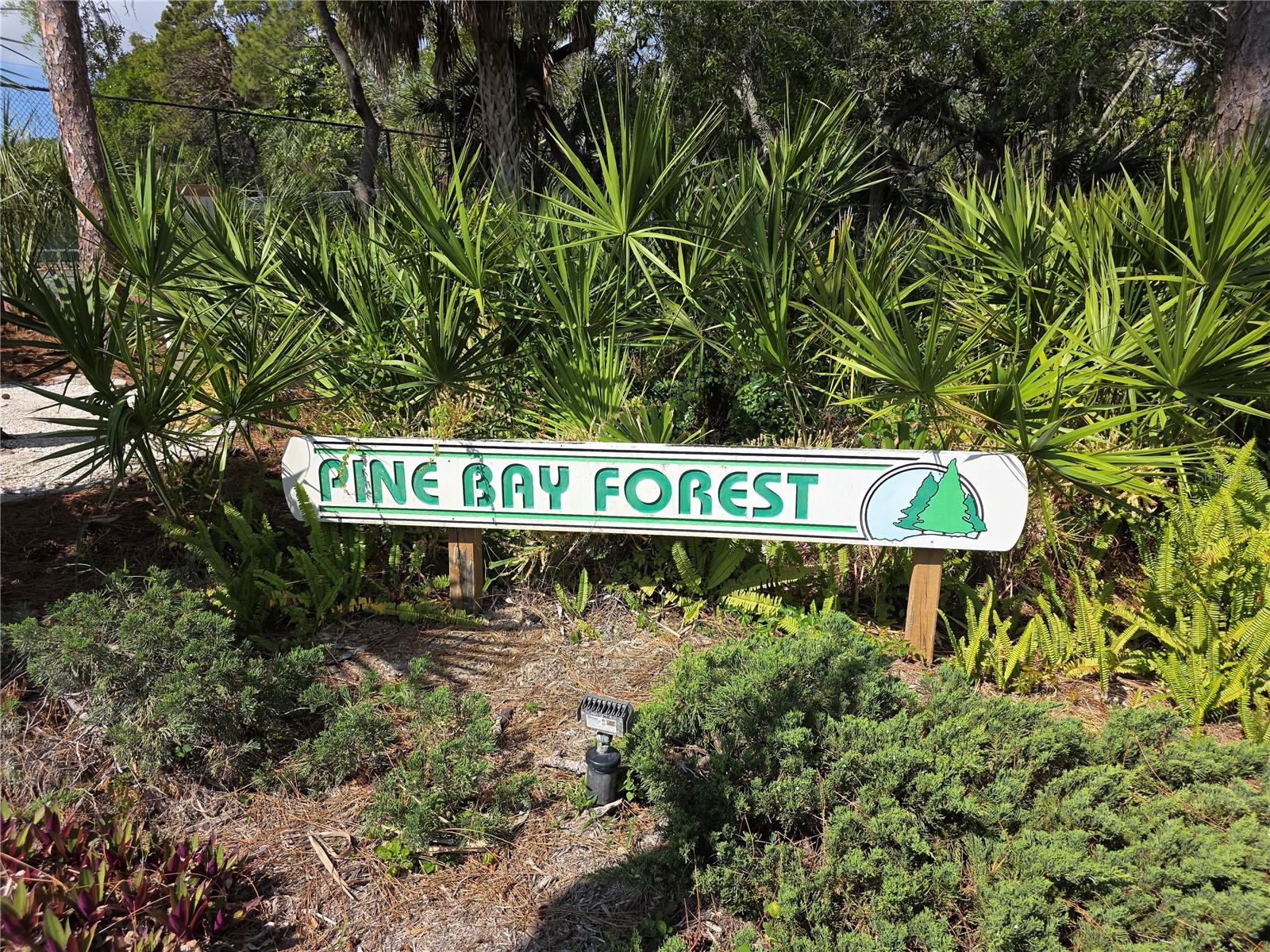 PINE BAY FOREST - Residential