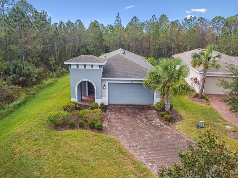 A home in POINCIANA