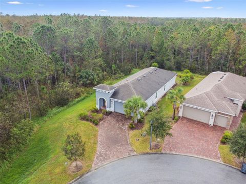 A home in POINCIANA