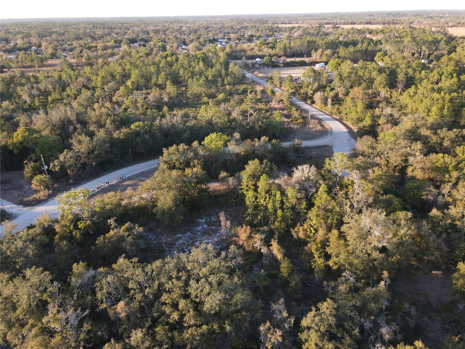 WILLOW SHORES - Land