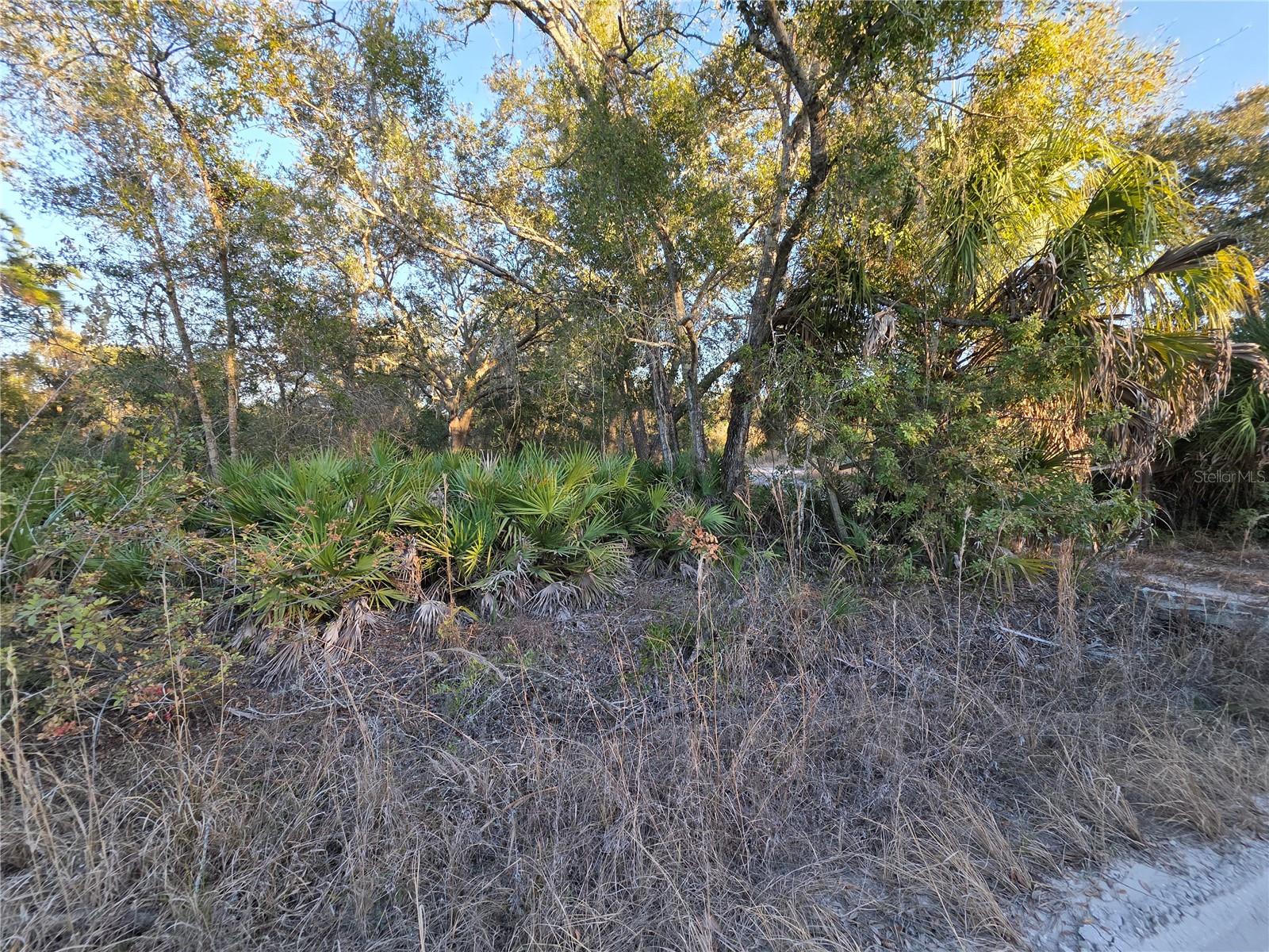 WILLOW SHORES - Land