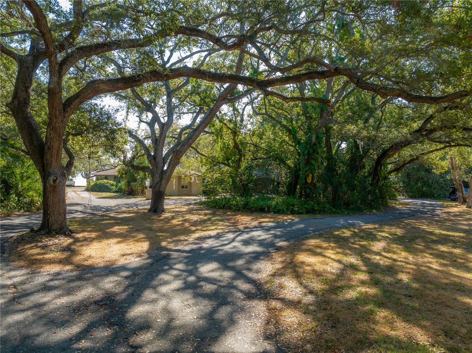 SHELL POINT - Residential