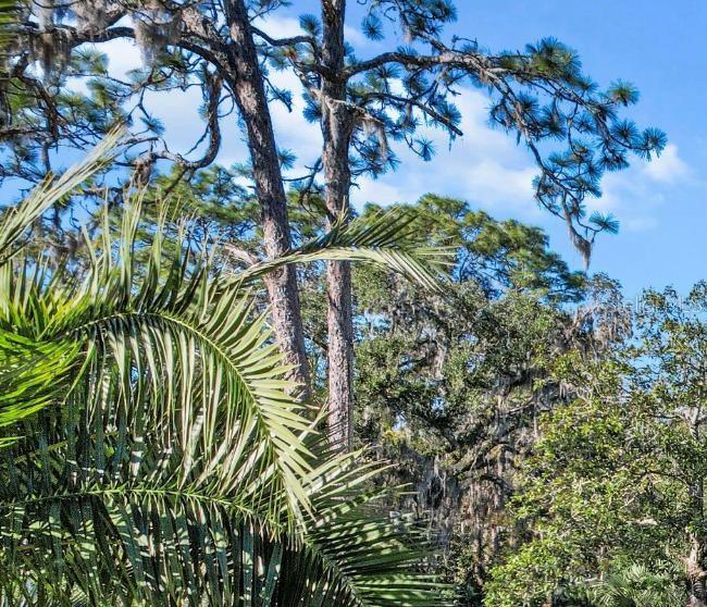 CRYSTAL PARK - Residential