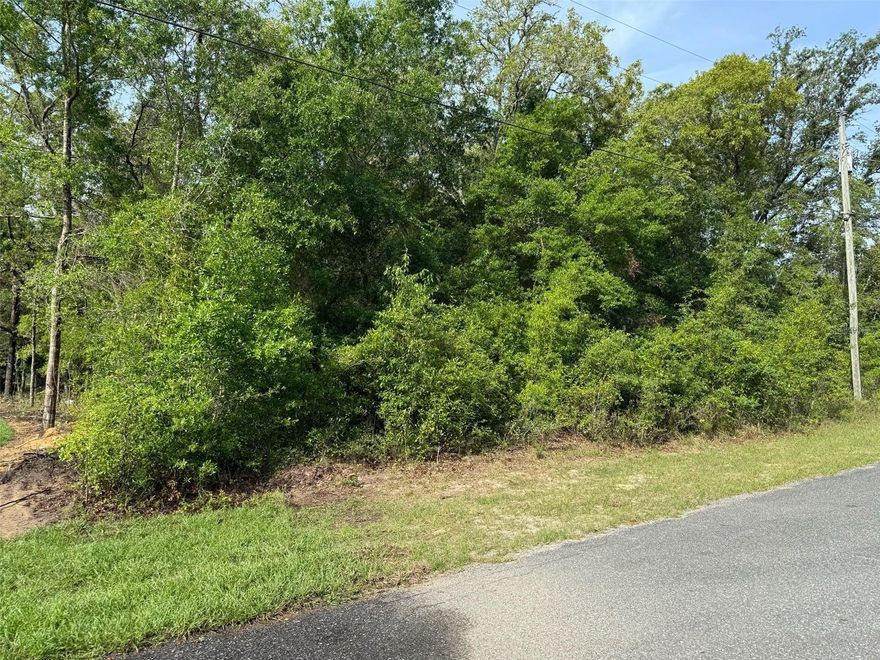 INVESTORS !!! GREAT OPPORTUNITY!!
 A quarter acre lot in Citrus Springs, paved road, power on street, public water, not in flood zone. 6 mins away from citrus springs Golf and Country Club. Close by shopping, restaurants, medical service and out door activities such as sports courts, parks, boating, fishing, diving, freshwater springs and more! ! Buyer to verify all information including utility availability and restrictions. You can build your single family on this excellent lot and great location.