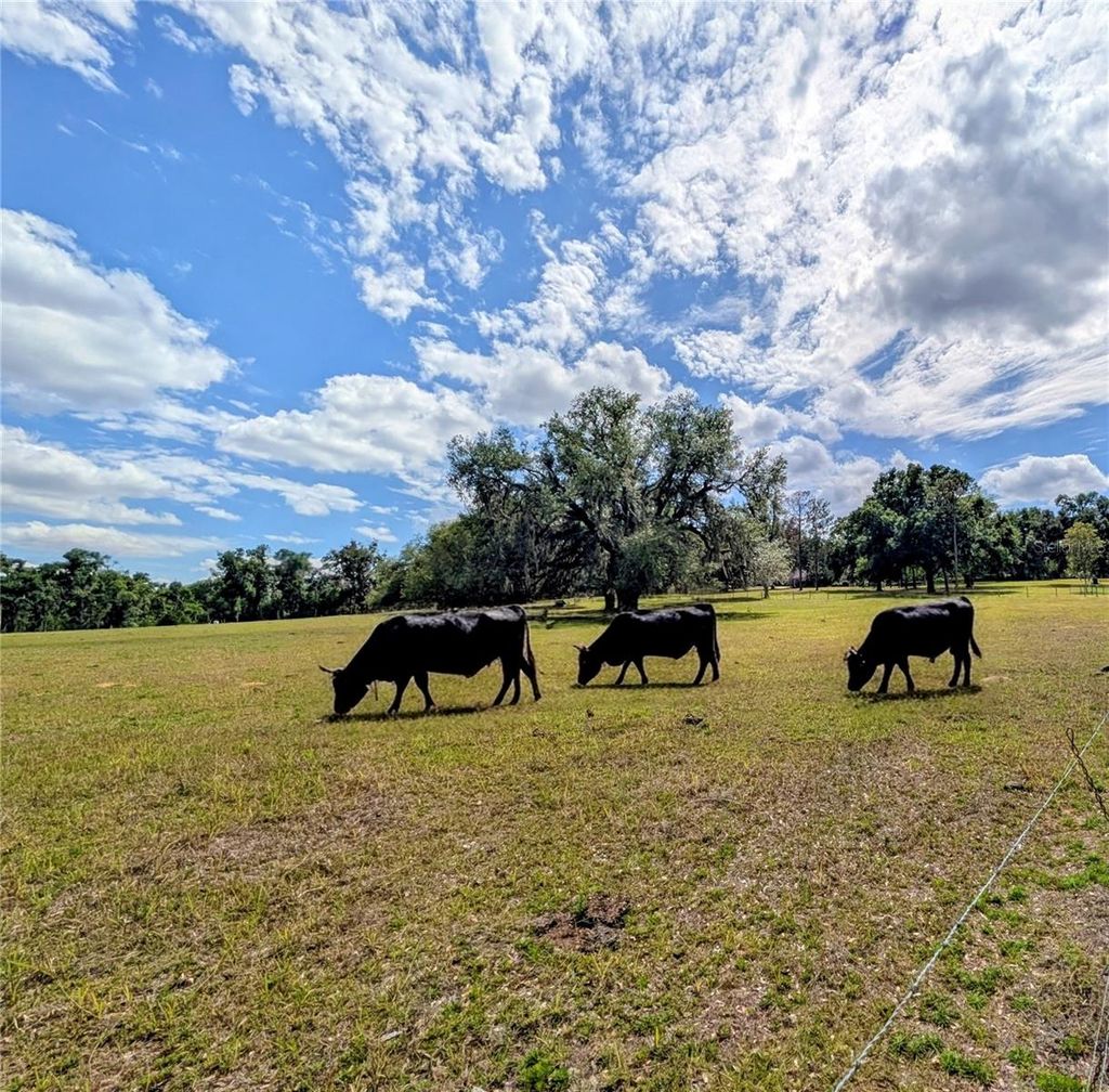 Photo of 0 Sweetwater Road, Dade City, FL 33523 (MLS # TB8504612)