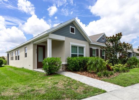 A home in LITHIA