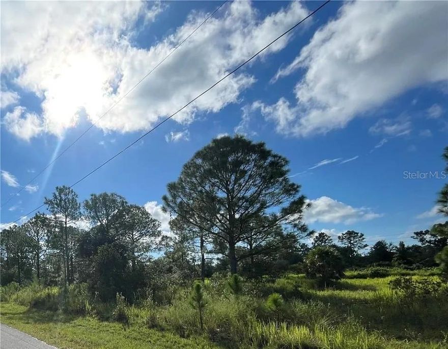BUILDER SPECIAL! NO HOA! Build your dream home or next investment project on this beautiful nearly 0.25-acre lot located in the desirable Sun 'N Lake of Sebring Improvement District. This centrally located parcel is close to hospitals, shopping, and restaurants—offering both convenience and community. Residents enjoy access to two championship golf courses, a community pool, and on-site dining. Whether you're a builder, investor, or future homeowner, this is a prime opportunity in one of Sebring’s most sought-after areas. Seller financing and private financing available. Do not wait, this one will not last long!