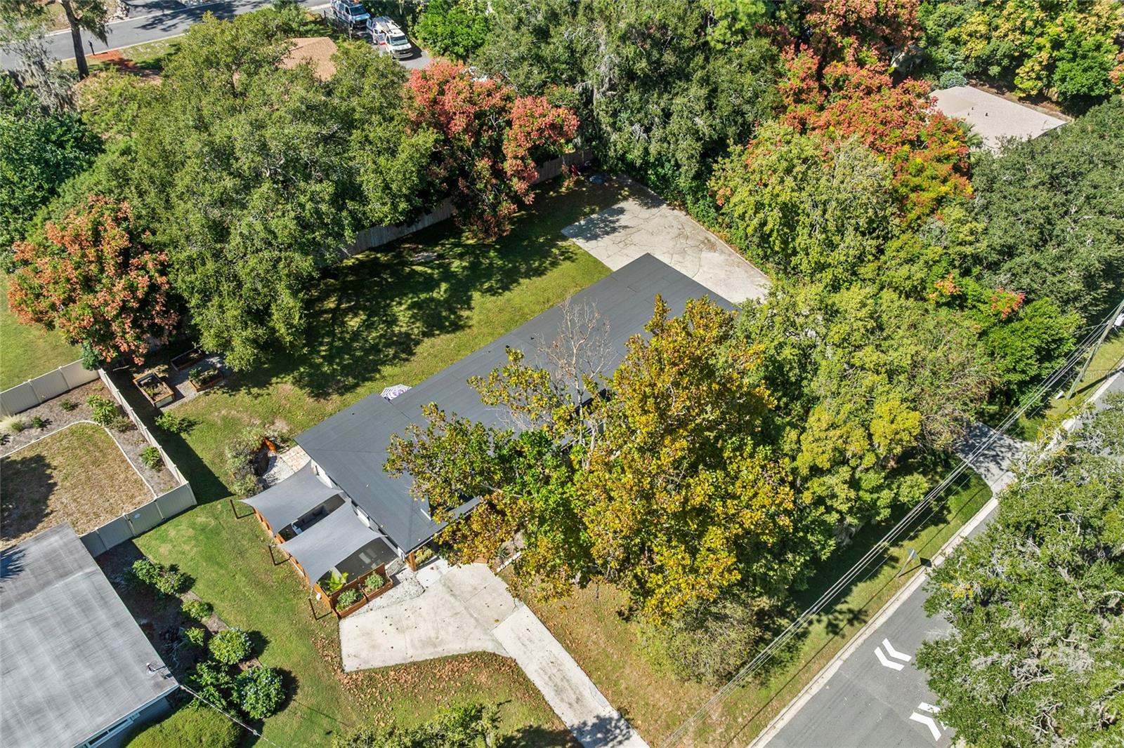 MOUNT DORA PINECREST - Residential