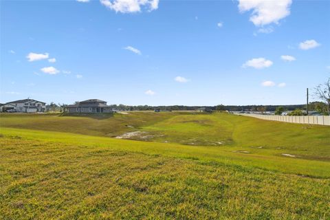 A home in DADE CITY