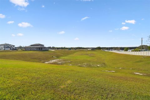 A home in DADE CITY