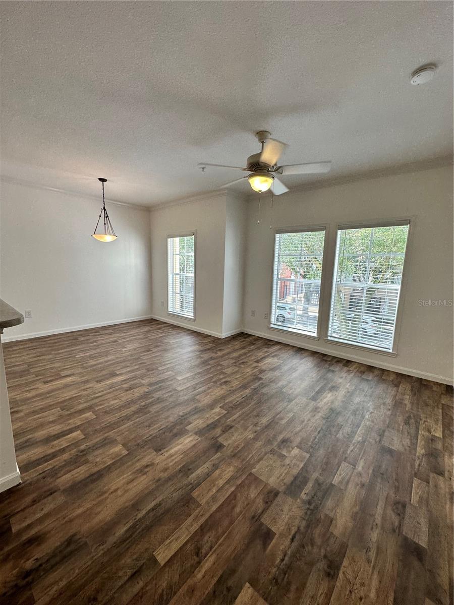 729 CELEBRATION AVENUE 729