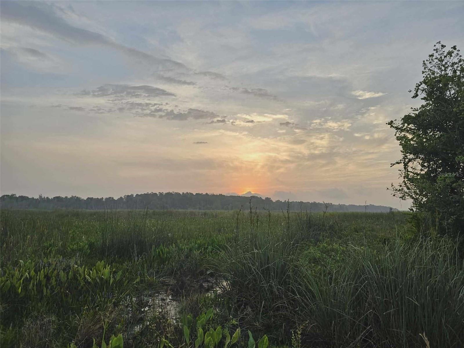 JOHNSON WALLACE E JR - Residential