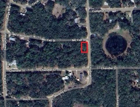 MCCALL STREET INTERLACHEN FL 32148