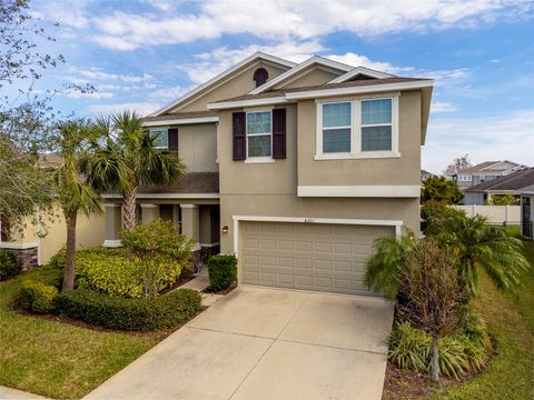 A home in APOLLO BEACH