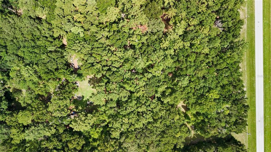 Enjoy country living less than 10 miles from Gainesville, Archer, and Williston. Whether you’re seeking a secluded homestead, agricultural land, or a timber investment, this collection offers excellent potential.  Conveniently located on SW County Road 346 (paved), this property blends rural charm with easy access to schools, shopping, and major transportation routes. Bring your vision—whether for peaceful living, investment, or recreation—this is a rare opportunity to own a flexible, ready-to-use slice of Florida.  Also available with a bundle of parcels totalling over 85 acres, see MLS# GC535024