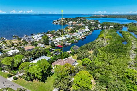 Photo of 155 Sage Road, Crystal Beach, FL 34681 (MLS # TB8436771)