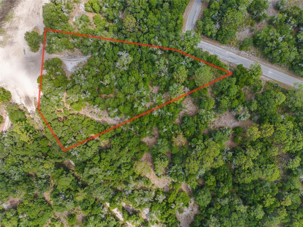Photo of 12180 W Olive Tree Lane, Crystal River, FL 34428 (MLS # T3531253)