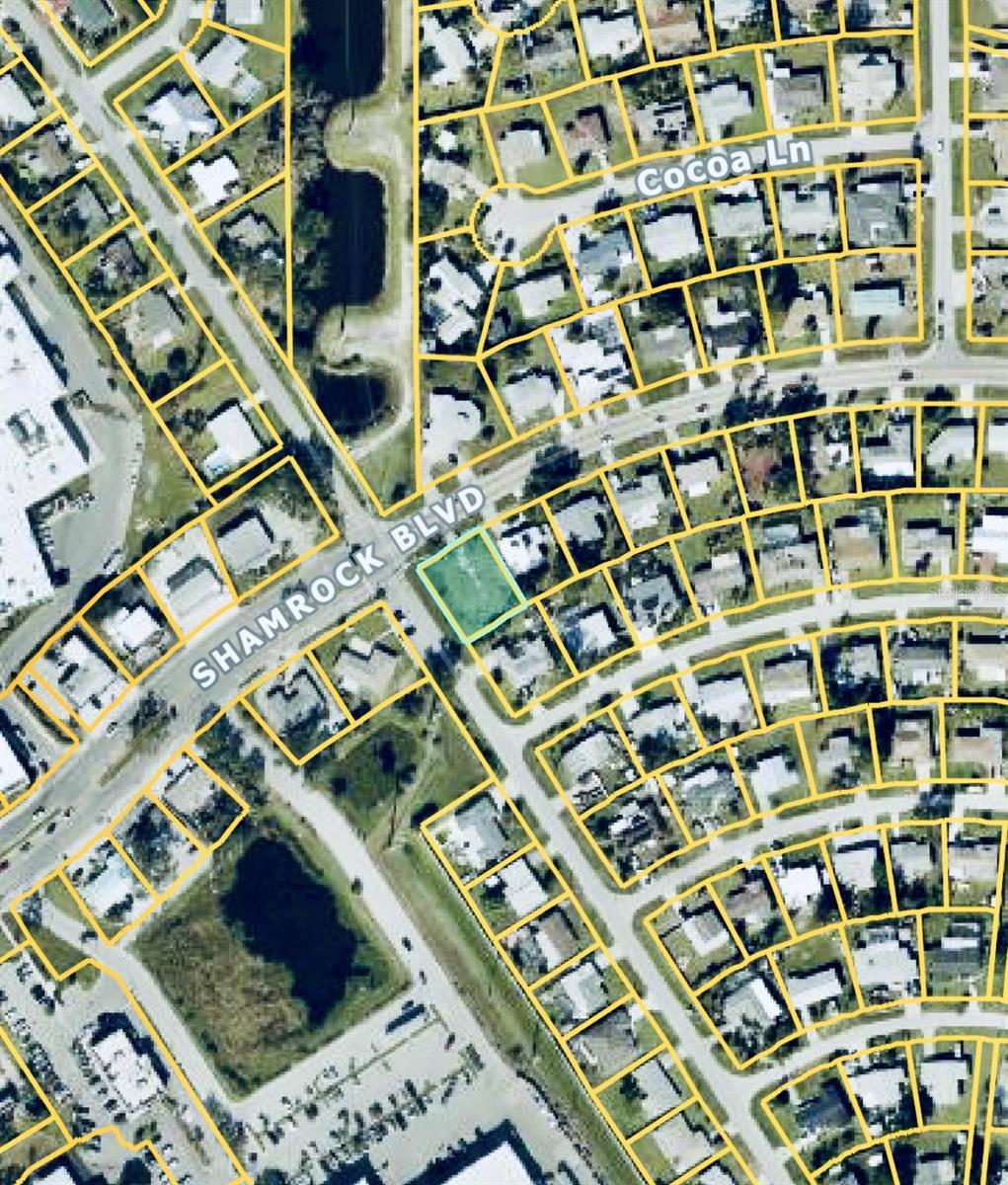 236 SHAMROCK BOULEVARD