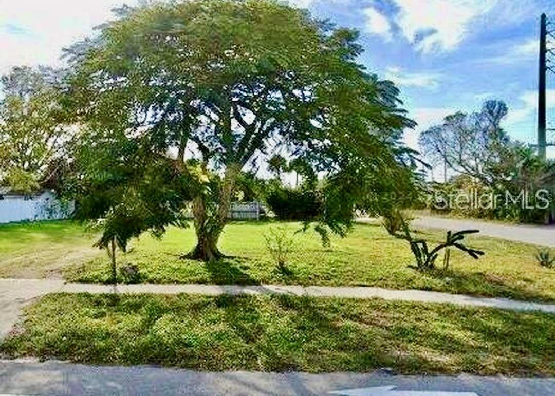 236 SHAMROCK BOULEVARD