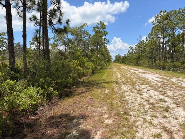 INDIAN LAKE ESTATES - Land