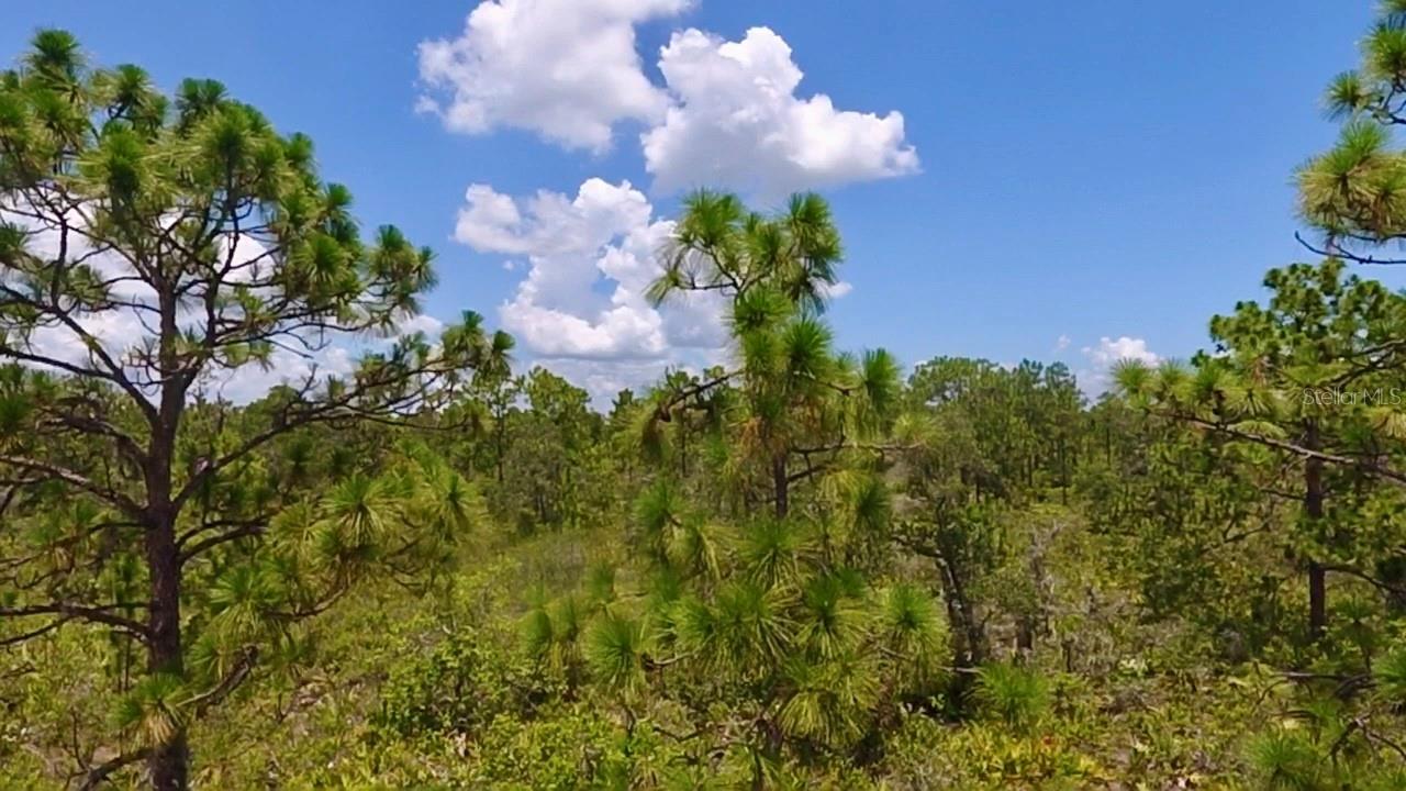 Build Your Dream Home in a Gated Golf & Lakefront Community! Welcome to an incredible opportunity to own a spacious ½-acre vacant lot in the highly sought-after Lake Wales area. Located within a private, gated community, this property offers the perfect canvas to design your custom home and enjoy Florida living at its finest. This community is packed with resort-style amenities, including a golf course, tennis courts, a clubhouse, library, restaurant, and playground. For those who love the water, you’ll enjoy exclusive lake access to Lake Walk-in-the-water with 7528 Acre lake, with a community boat ramp and a 1000ft fishing dock—perfect for launching a boat, casting a line, or just taking in the peaceful waterfront views. Whether you’re looking for a place to build a permanent residence or a vacation retreat, this property combines privacy, recreation, and convenience. Don’t miss your chance to own land in one of Lake Wales’ most amenity-rich communities!