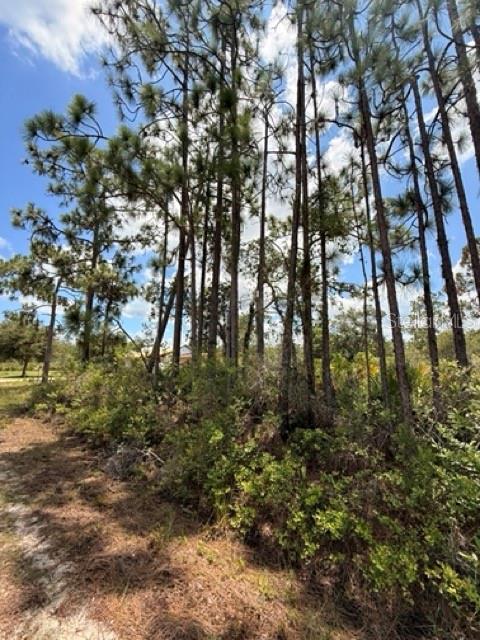INDIAN LAKE ESTATES - Land
