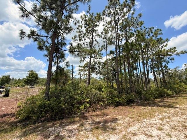 INDIAN LAKE ESTATES - Land