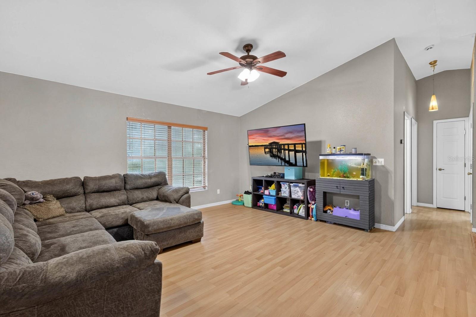 2815 ORANGE TREE