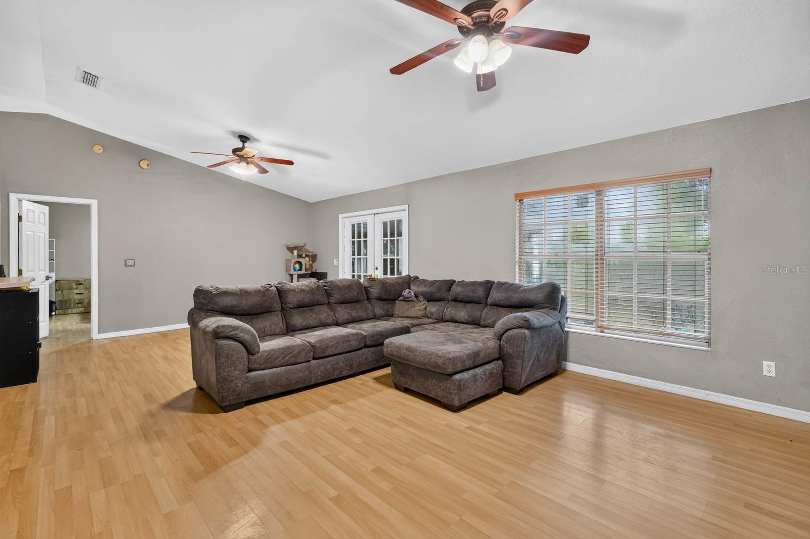 2815 ORANGE TREE