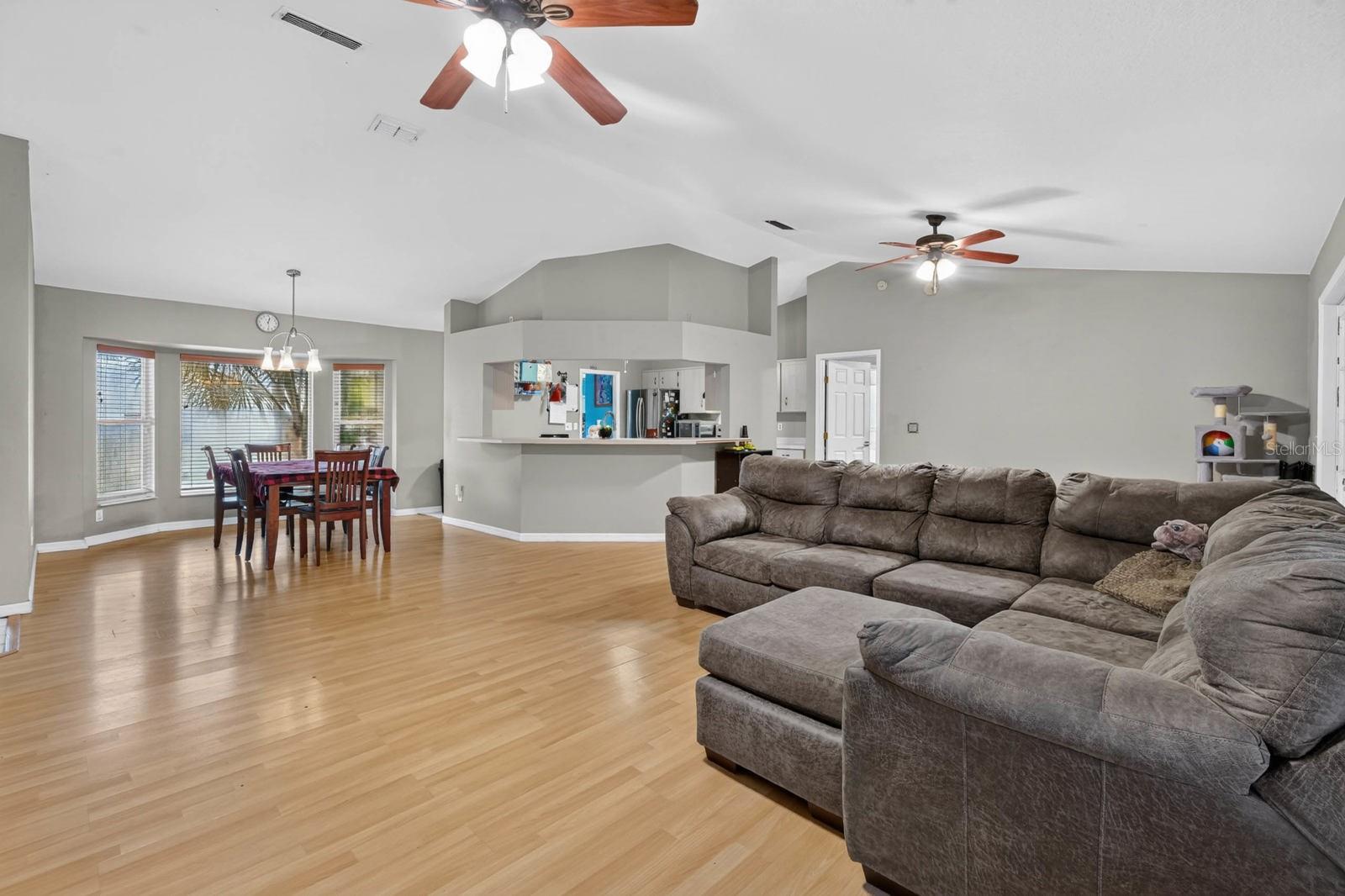 2815 ORANGE TREE